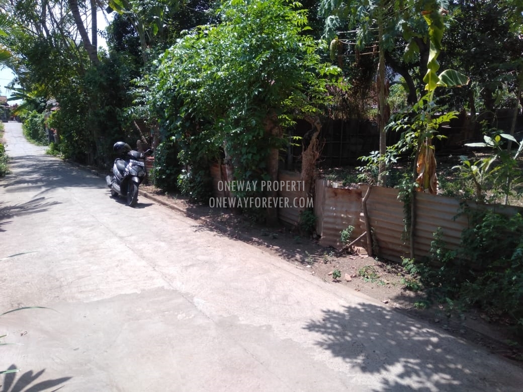 Tanah dijual di air terjun sekumpul Buleleng