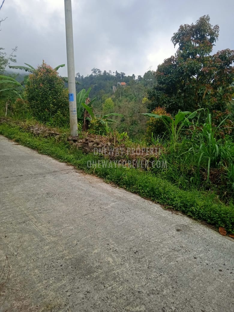 Tanah dijual di air terjun sekumpul Buleleng