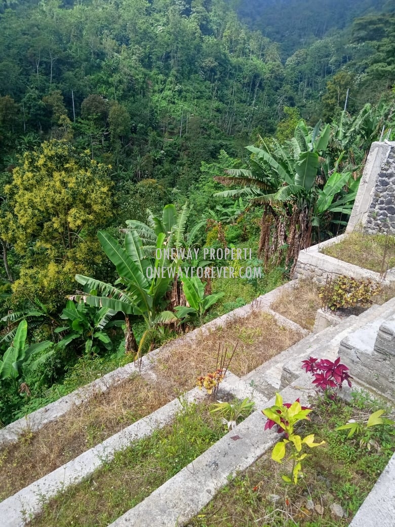 Tanah dijual di air terjun sekumpul Buleleng