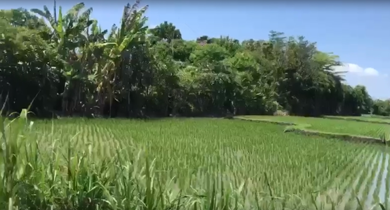 Villa dijual di Renon, Denpasar, Bali